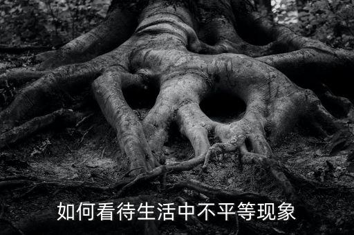 什么是機會不平等，辯論論機會對于每個人是否是平等的求辯論辯詞