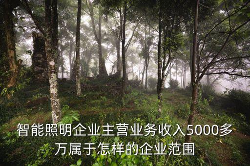 溫州宏豐主營什么，請問凈利率的公式計算是凈利潤主營業(yè)務(wù) 還是主營業(yè)務(wù)還加其他也