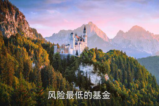 什么基金風險最低，風險最低的基金
