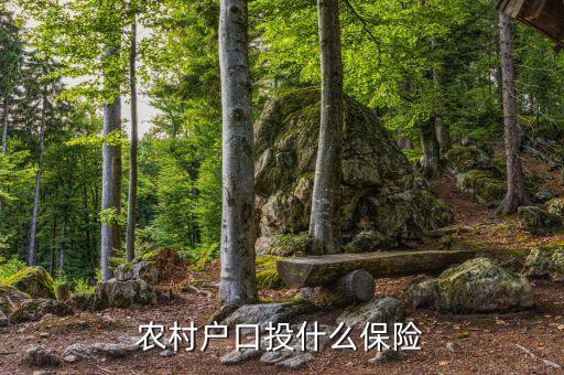 農(nóng)村買的保險(xiǎn)是什么保險(xiǎn)，農(nóng)民需要買什么保險(xiǎn)