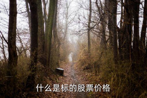 標(biāo)的股是什么，融資融券標(biāo)的股是什么意思