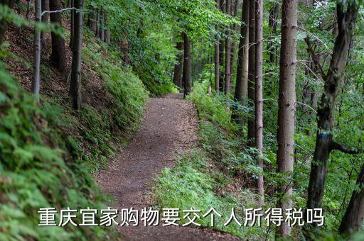 宜家買東西為什么收稅，重慶宜家購物要交個(gè)人所得稅嗎
