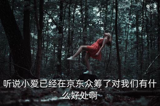 京東jimi機器人有什么作用，jimi 是什么意思