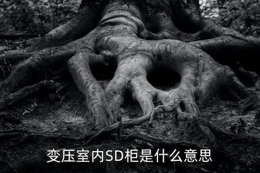 授軍旗為什么在室內(nèi)，變壓室內(nèi)SD柜是什么意思