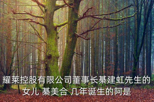 耀萊集團(tuán)董事長(zhǎng)姓什么，武漢耀萊成龍國(guó)際影城老板是成龍嗎