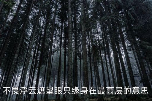 不畏浮云遮望眼什么意思，不畏浮云遮望眼 只緣身在最高層是什么意思