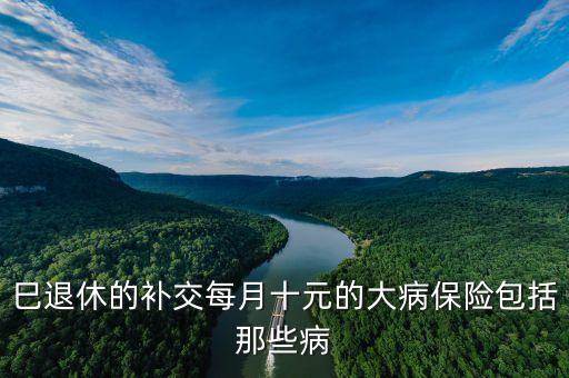 每月10元大病醫(yī)保是什么，由個人繳納的10元大病保險是否為強制繳納的由什么保險作用