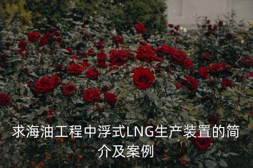 什么是浮式lng項目，什么是浮式LNG