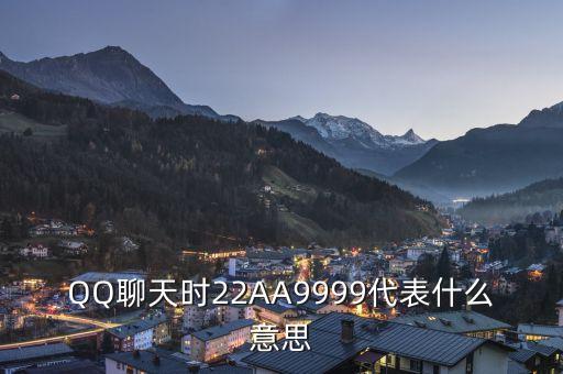 2AU9999代表什么，9999代表什么字