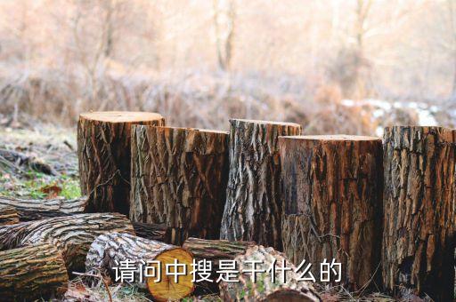 中搜幣是什么，聚寶盆里的中搜幣的兌換比率及限額是多少