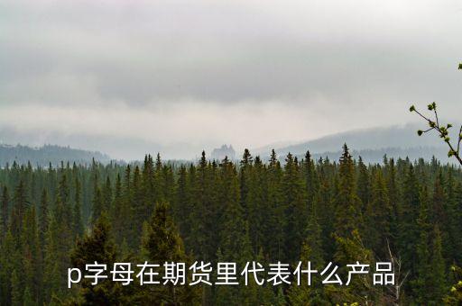 pp是什么期貨，聚丙烯期貨是什么