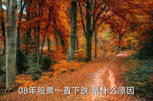 08年股票為什么大跌，2008年全球的股票為什么會(huì)大幅度下跌