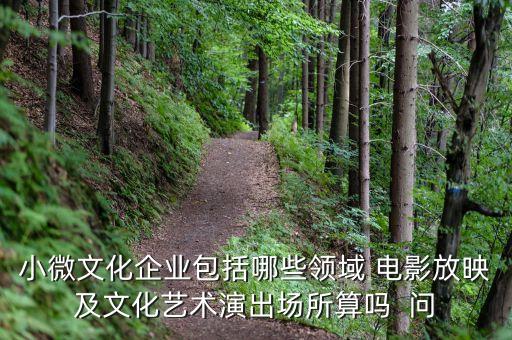 小微文化企業(yè)具體指什么，小微文化企業(yè)包括哪些領(lǐng)域 電影放映及文化藝術(shù)演出場(chǎng)所算嗎  問(wèn)