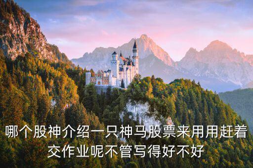 神馬股票是什么，哪個(gè)股神介紹一只神馬股票來用用趕著交作業(yè)呢不管寫得好不好