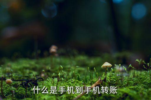 手機(jī)號(hào)匯款什么意思，什么叫匯款我用手機(jī)把卡上錢匯到另一個(gè)號(hào)會(huì)有問題嗎多久能匯