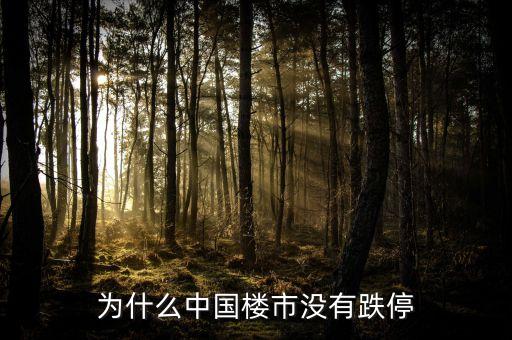 為什么中國(guó)房地產(chǎn)不崩盤(pán)，為什么中國(guó)樓市沒(méi)有跌停
