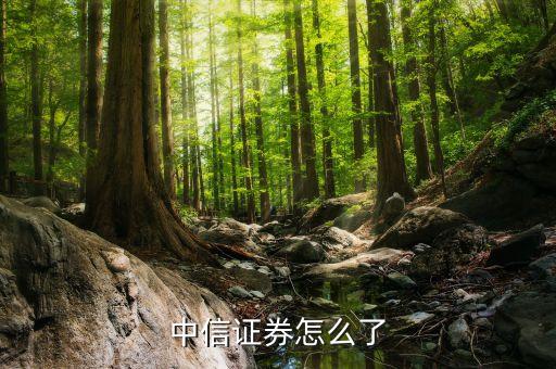 郭志榮為什么離開中信，中信證券怎么了