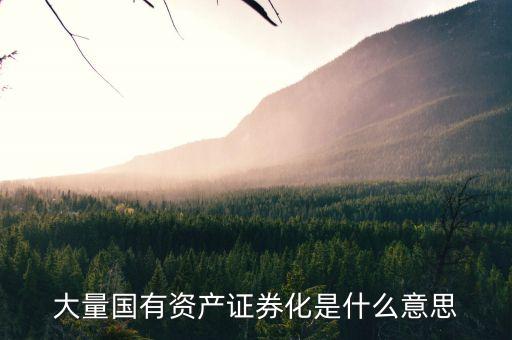 什么是國資證券化率，資產(chǎn)證券化率的公式