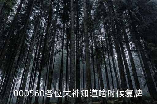 棟梁新材什么時候復牌，000560各位大神知道啥時候復牌