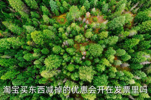 網(wǎng)店為什么貨票不同行，為什么網(wǎng)店賣的東西不能和發(fā)票一同送來