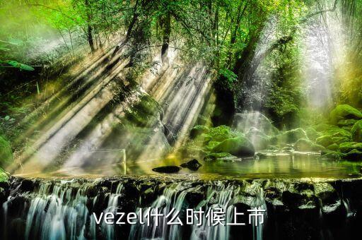 維珍妮集團(tuán)什么時(shí)候上市，vezel什么時(shí)候上市