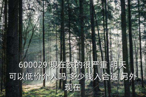 粵傳媒今天什么跌這么厲害，600029 現(xiàn)在跌的很嚴(yán)重 明天可以低價(jià)介入嗎 多少錢入合適 另外現(xiàn)在