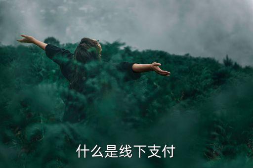 什么是線上線下支付，什么是線下支付