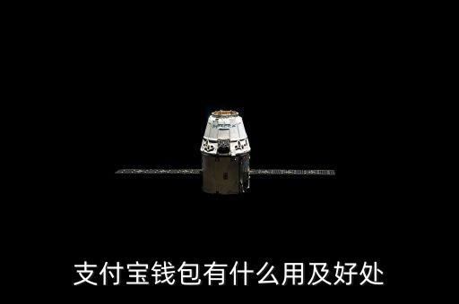 支付寶錢包都能干什么，支付寶錢包是做什么的