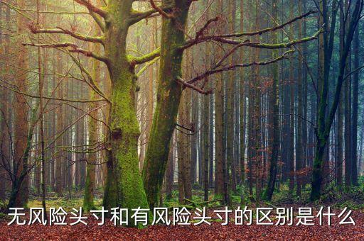 市場風險頭寸是什么，什么是可抵消市場風險頭寸