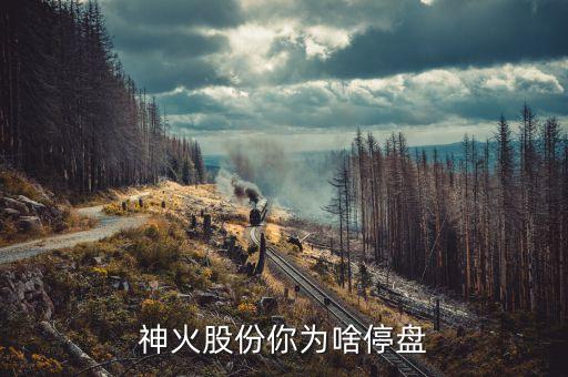 彩虹股份什么時候復(fù)牌，股票目前停牌一個月20114月重組概念重大事項 有哪些股票