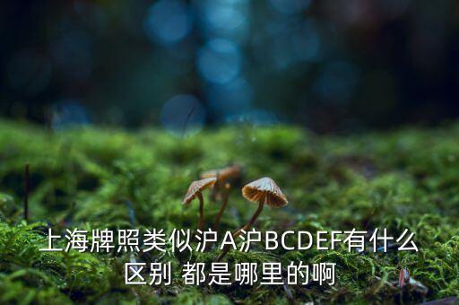 上海市政府牌照是滬什么，上海的車牌是滬還是浦
