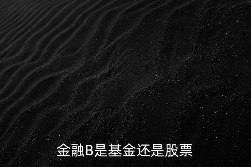 銀行b端是什么股票，金融B是基金還是股票