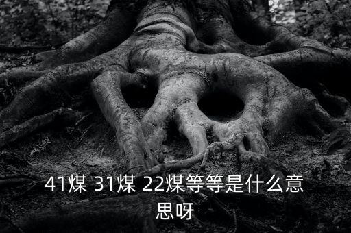 什么叫三二煤，2煤3煤什么意思