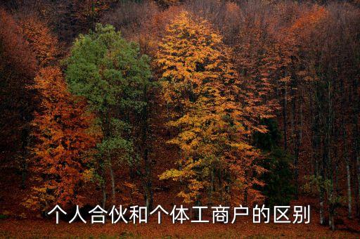 個人合伙領取什么經(jīng)營執(zhí)照，個人合伙辦理個體工商戶執(zhí)照