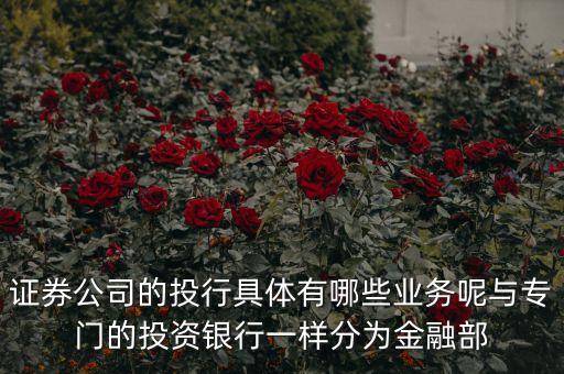 國(guó)內(nèi)券商投行部在做什么，國(guó)有四大行的投行部在做什么