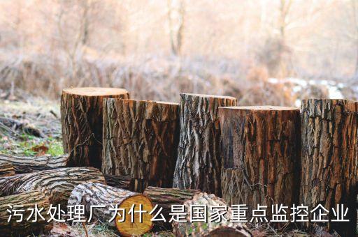 重點監(jiān)控企業(yè)為什么，稅務(wù)局來電要我們公處理重點監(jiān)控是什么意思