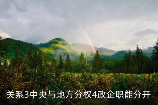 關系3中央與地方分權4政企職能分開