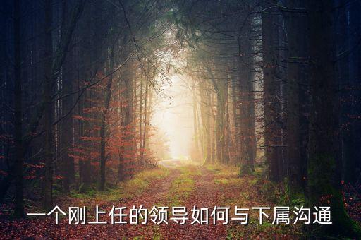 新任董事長(zhǎng)應(yīng)該做什么，董事會(huì)換屆選舉怎么做