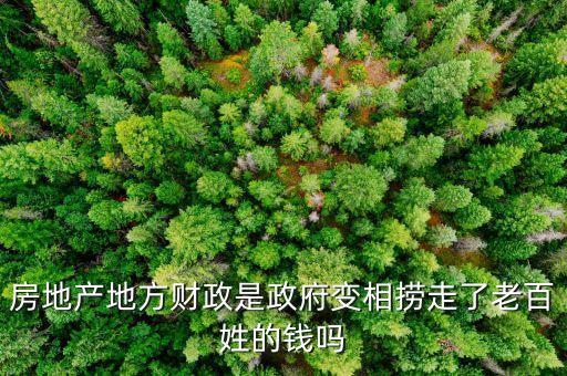 土地財(cái)政是什么意思，拍賣(mài)土地財(cái)政應(yīng)該返錢(qián)嗎