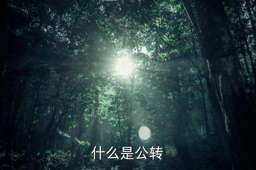 公轉(zhuǎn)書是什么，什么是公轉(zhuǎn)