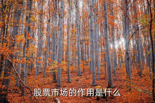 股票交易市場(chǎng)有什么意義，股票市場(chǎng)的作用是什么