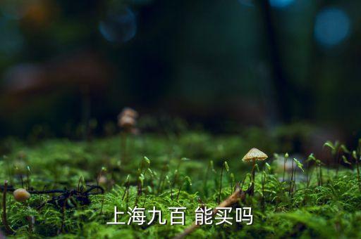 上海九百是做什么的，上海九百怎么樣
