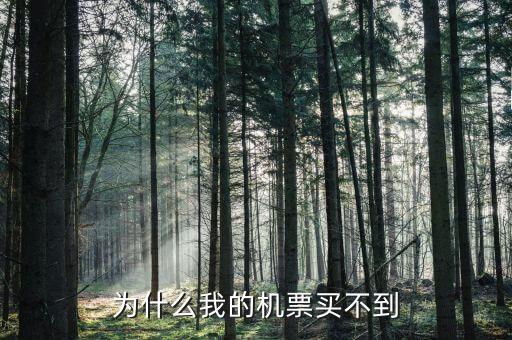 833919為什么買不到，我怎么買不到呀