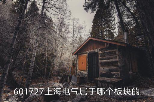 上海電氣什么行業(yè)，上海置信電氣股份有限公司是屬于什么行業(yè)