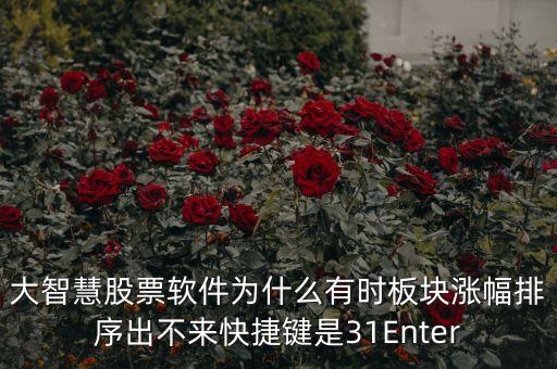 板塊排不按什么鍵，大智慧股票軟件為什么有時板塊漲幅排序出不來快捷鍵是31Enter