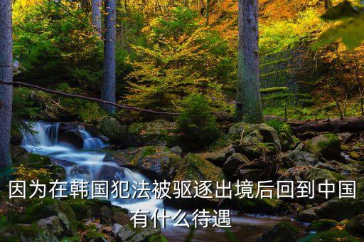 在國外犯罪逃回國有什么后果，逃犯持外國護照回國會怎樣
