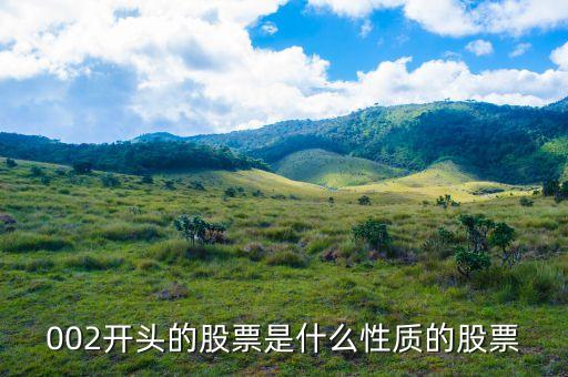 002打頭的股票代表什么，股票002開頭的是什么意思
