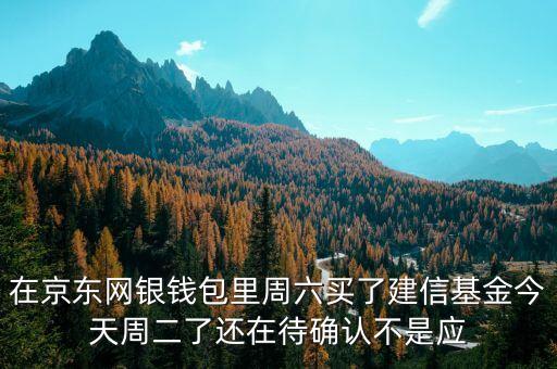 002378建信什么時(shí)候確認(rèn)份額，在京東網(wǎng)銀錢包里周六買了建信基金今天周二了還在待確認(rèn)不是應(yīng)