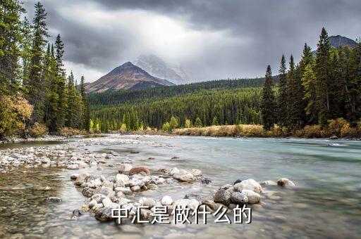中匯事業(yè)發(fā)展部是什么，中匯集團(tuán) 好像全國(guó)好多叫中匯的不是說集團(tuán)公司名稱不能重復(fù)嗎