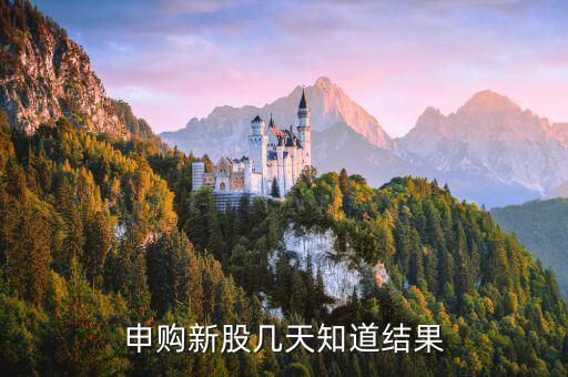 博敏申購什么時候出結果，申購新股幾天知道結果